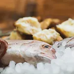 Гостевой дом Alzocaire Boutique 4*