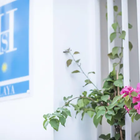 Alzocaire Boutique Guest house 4*