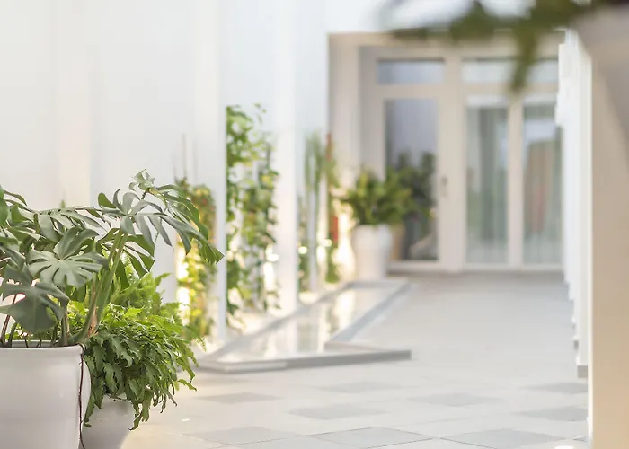 Πανσιόν Alzocaire Boutique 4*